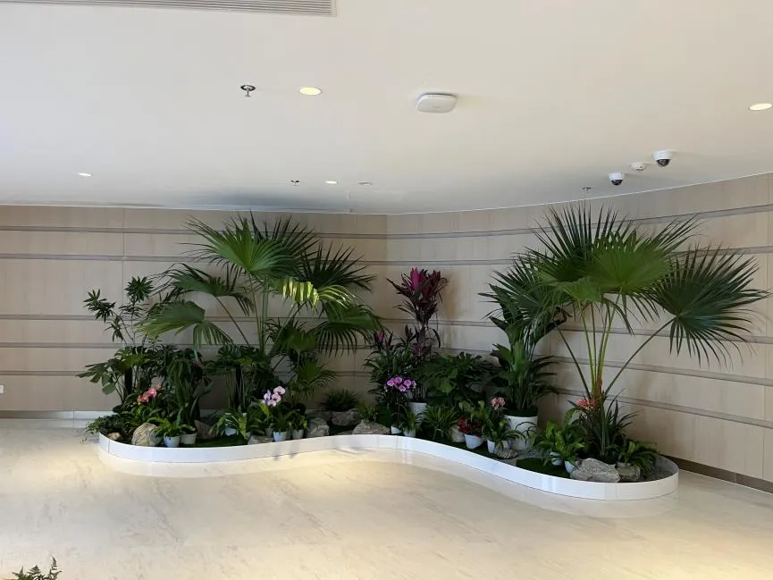 想知道鄞州盆景租赁价？这里有你要的答案